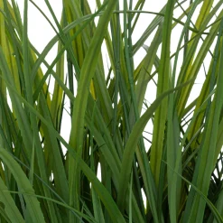 Vaso jacinto com ervas 70cm