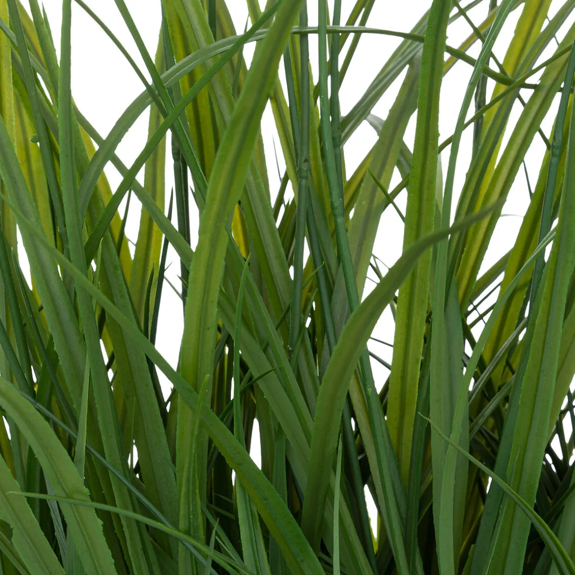 Vaso jacinto com ervas 70cm