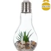 Vaso lâmpada led suspenso com cacto