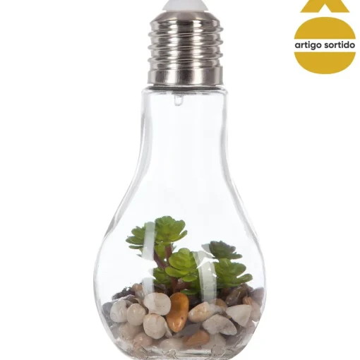 Vaso lâmpada led suspenso com cacto