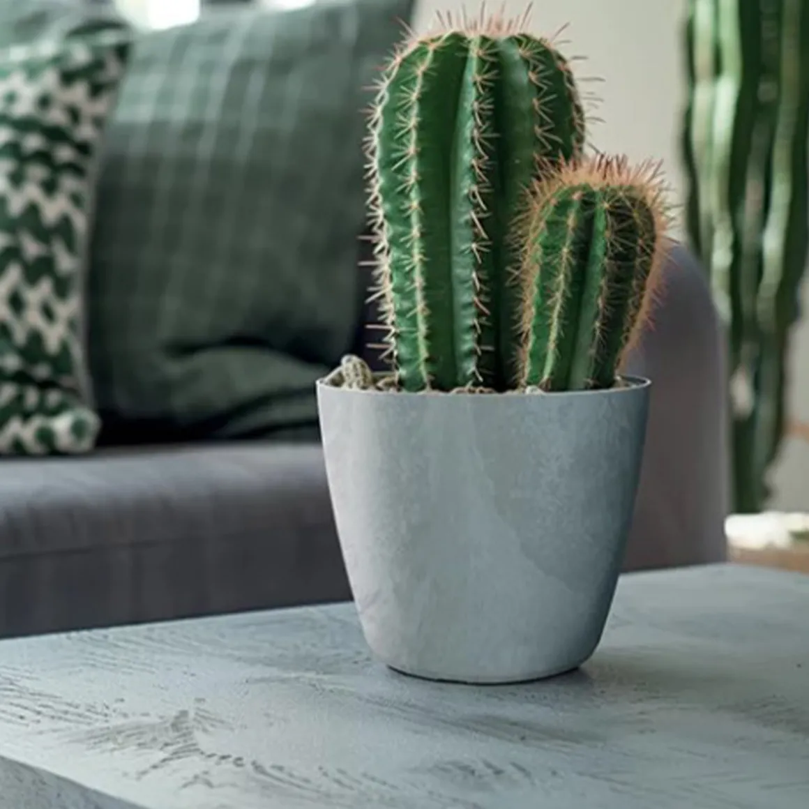 Vaso MATE efeito betão cinza 13cm