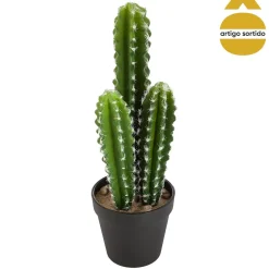 Vaso NOMADE com cato 38cm