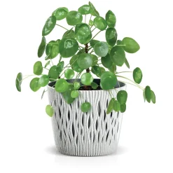 Vaso SANDY round branco eco wood 19cm