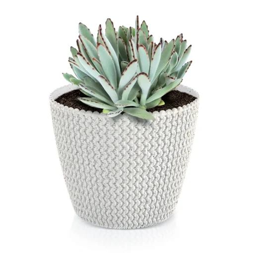 Vaso SPLOFY branco eco wood 19cm