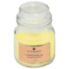 Vela Citronela Em Copo De Vidro 500g