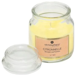 Vela Citronela Em Copo De Vidro 500g