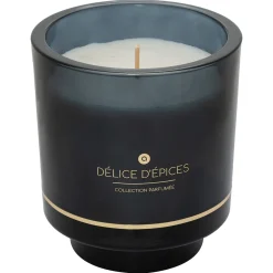 Vela Especiarias Em Copo De Vidro Ilae 225G