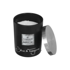 Vela perfumada delícia perfumada 210 gr