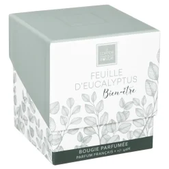 Vela perfumada eucalipto 190g