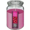 Vela perfumada framboesa 510gr