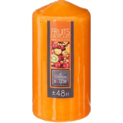 Vela perfumada PILAR frutos exóticos 395 gr