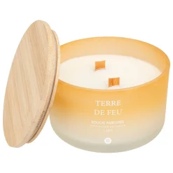 Vela perfumada terre de feu SANA 420g